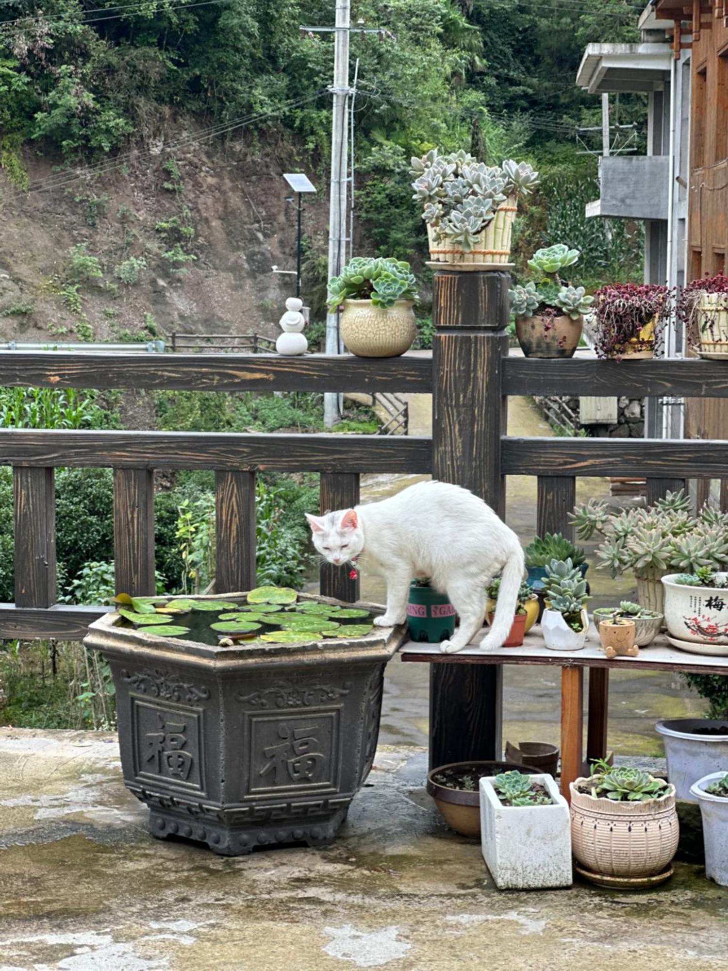 Tongfu Inn Zhangjiajie Buitenkant foto